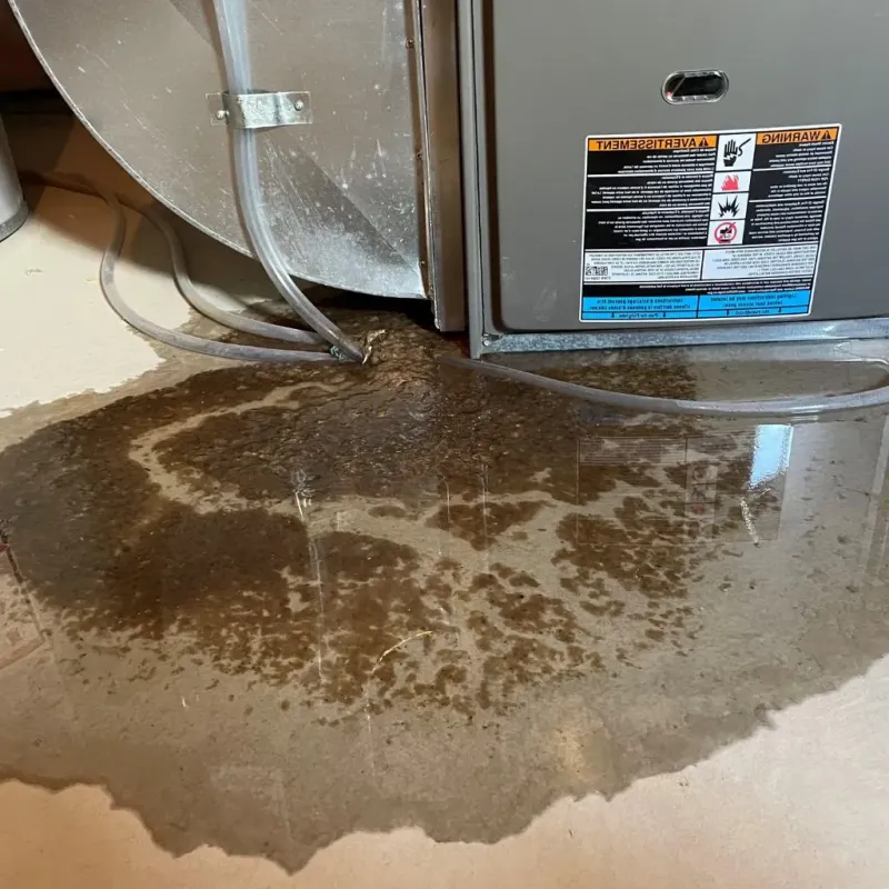Pipe Burst and Leak Restoration in Kenbridge, VA