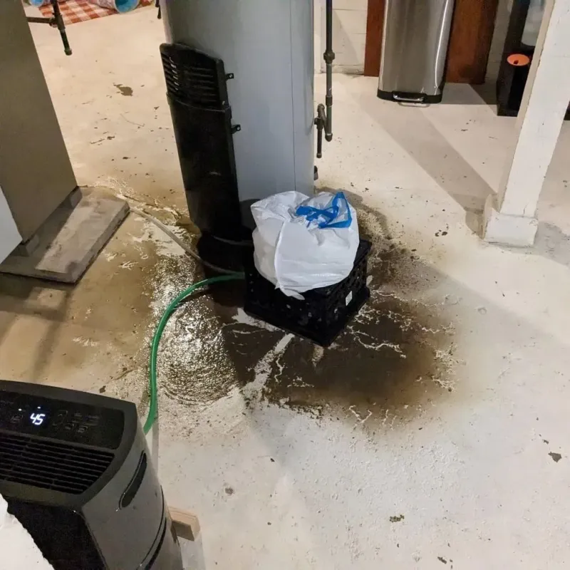 Sewage Backup Cleanup Service in Kenbridge, VA